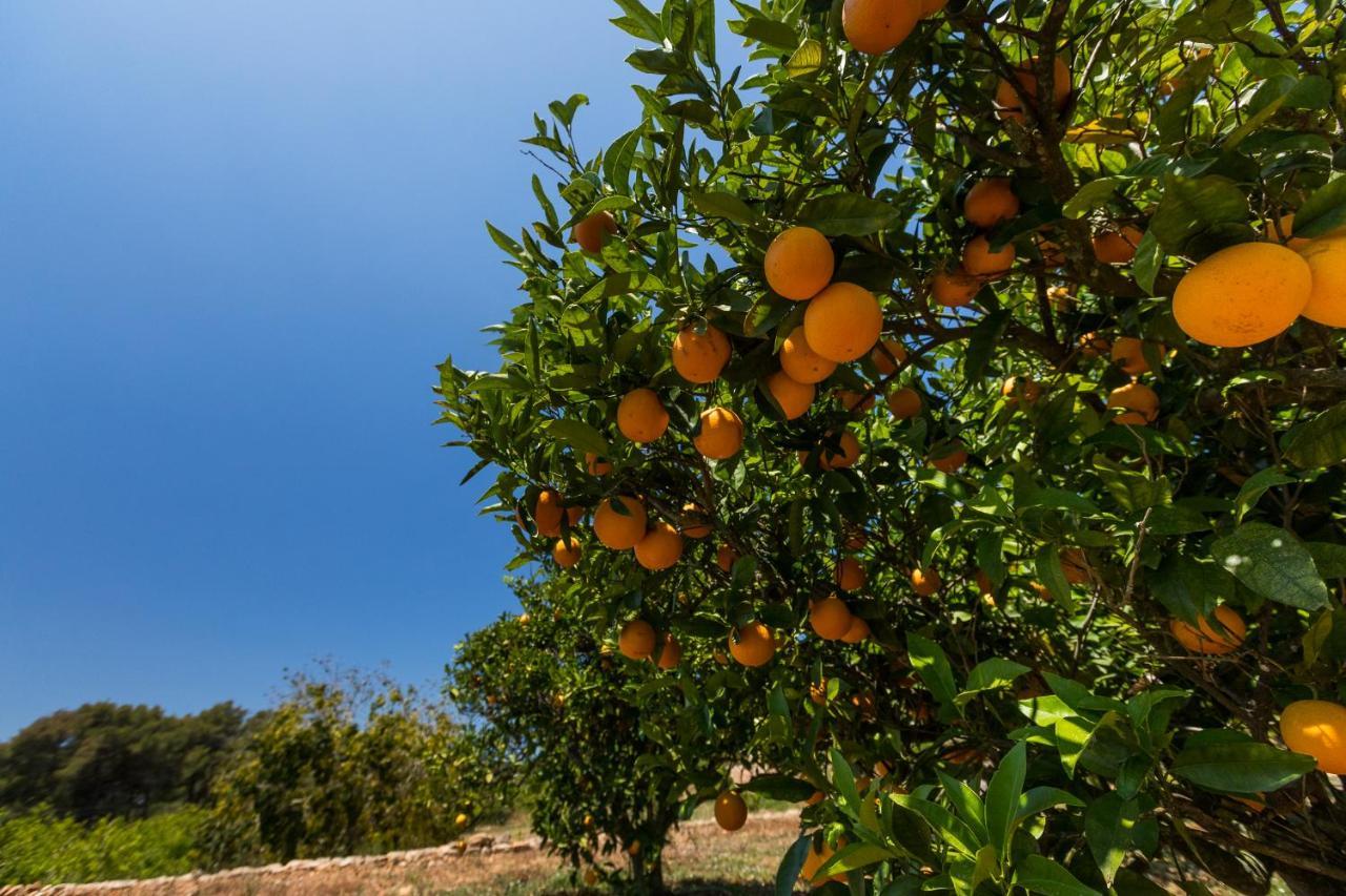 سانت ميكيل ذي بالان Agroturisme Can Planells المظهر الخارجي الصورة